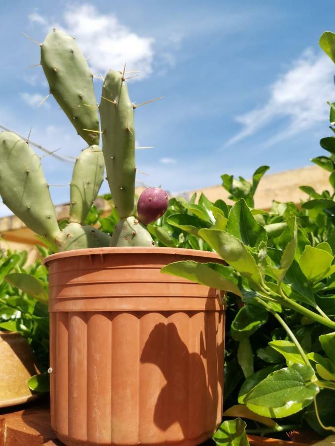 B&B Scogli Bianchi Lido di Noto Eksteriør billede
